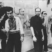 Tav Falco's Panther Burns - List pictures