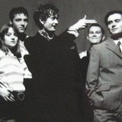 Pulp - List pictures