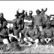 Kartellen - List pictures