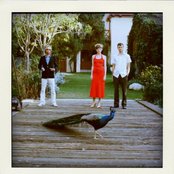 Music Go Music - List pictures