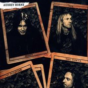 Audrey Horne - List pictures