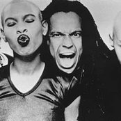 Skunk Anansie - List pictures