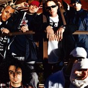 Kottonmouth Kings - List pictures