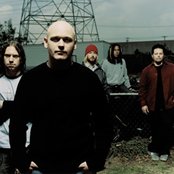 Depswa - List pictures