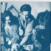 Talk Talk - List pictures