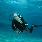 David Draiman - List pictures