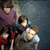 Veronica Falls - List pictures