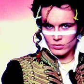 Adam Ant - List pictures