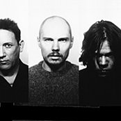 Zwan - List pictures