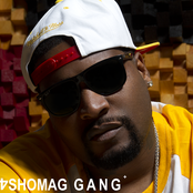 Sino - List pictures