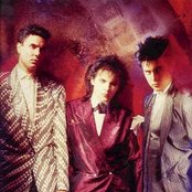 Arcadia - List pictures