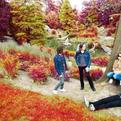 The Datsuns - List pictures