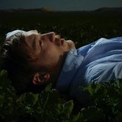 The Field - List pictures