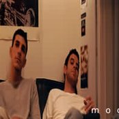 Mock Orange - List pictures