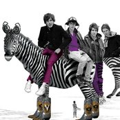 The Virgins - List pictures