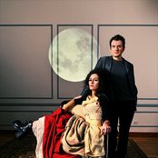 Mira - List pictures