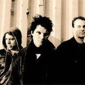 Zornik - List pictures