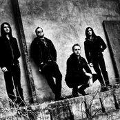 Distal - List pictures