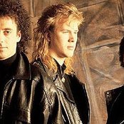 Jeff Healey Band - List pictures