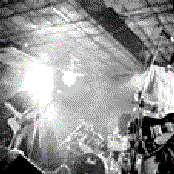 Butch - List pictures