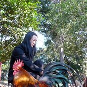 Merzbow - List pictures