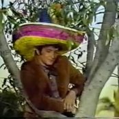 Alpert Herb - List pictures