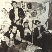 Fang - List pictures