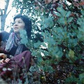 Mia Doi Todd - List pictures