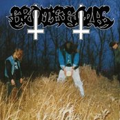 Grotesque - List pictures