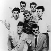Madness - List pictures