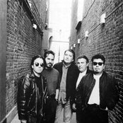 Los Lobos - List pictures