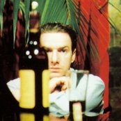 Mick Harvey - List pictures