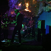 Radical Dads - List pictures