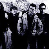 Happy Mondays - List pictures