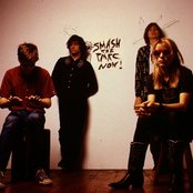 Sonic Youth - List pictures