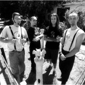 Bad Acid Trip - List pictures