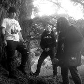 The Fallen - List pictures