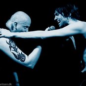 Leaether Strip - List pictures