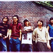 Aqua Timez - List pictures