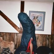 Sd Laika - List pictures