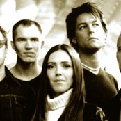 Whale - List pictures