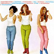 The Shangri-las - List pictures