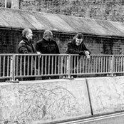 Ivy Lab - List pictures