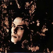 Peter Murphy - List pictures