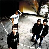 The D4 - List pictures