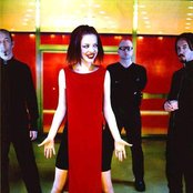 Garbage - List pictures