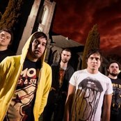 Bermuda - List pictures