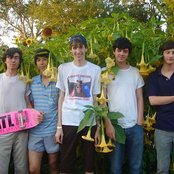 Deerhunter - List pictures