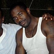 Loon - List pictures