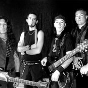 Violent Faith - List pictures